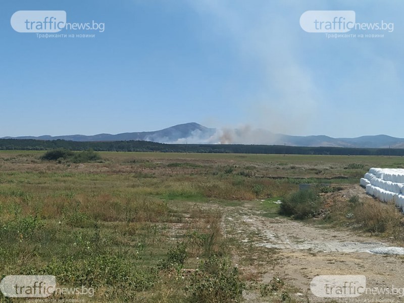 Потушени са пожарите в Пловдивско