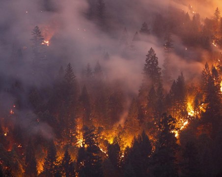 Пламна борова гора край Карлово