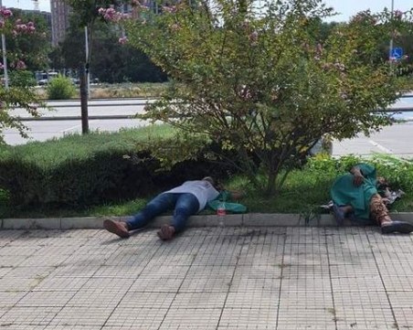 Полегнала е Гергана в Пловдив: Служители на 