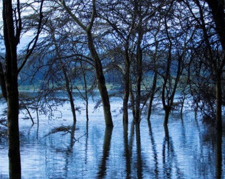 Сливането на две езера заплашва Кения с екологична катастрофа