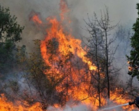 Детска игра причинила големия пожар, унищожил хиляди декари гора край Девин