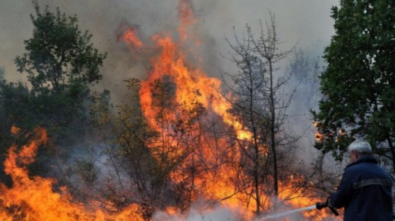 Детска игра причинила големия пожар, унищожил хиляди декари гора край Девин