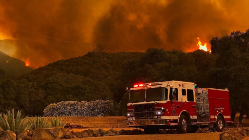 Извънредно положение в част от Калифорния, хиляди декари гора - изпепелени