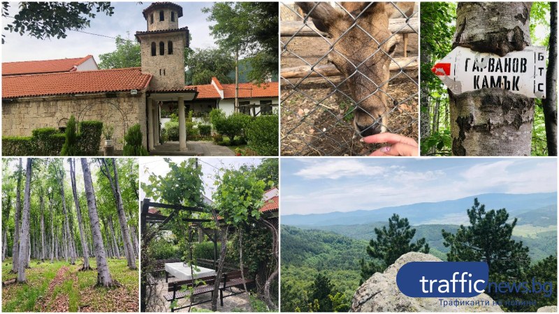 На час от Пловдив: Манастирът с 500-годишна лоза, зоокът и 