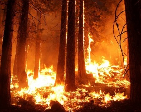 Евакуират половин милион души заради пожарите в САЩ