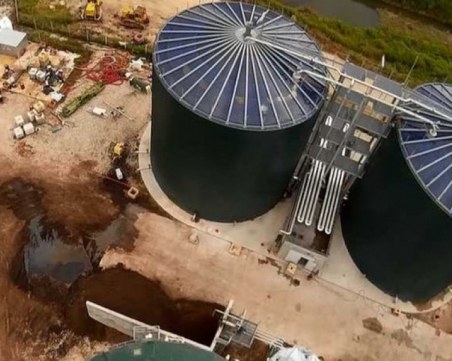 Отново смрад в село Труд  - 15 тона птича тор обгази селото