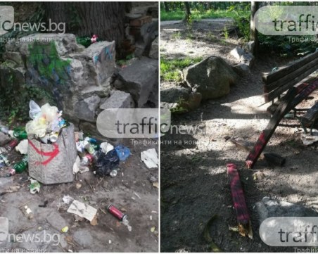 За пример: Доброволци връщат красивия облик на Данов хълм