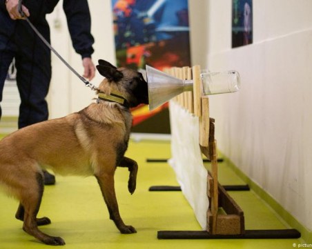 Кучета надушват Covid-19 на летището в Хелзинки