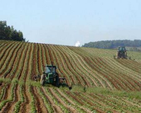 Повдигнаха обвинение на жителка на Стамболийски, точила пари от еврофондове