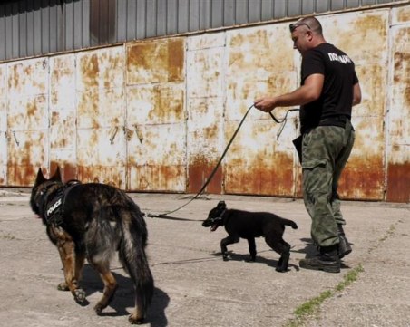 Цяла нощ издирват 2-годишно дете в Якоруда