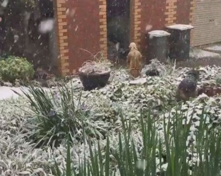 Аномалия: Сняг изненада Австралия