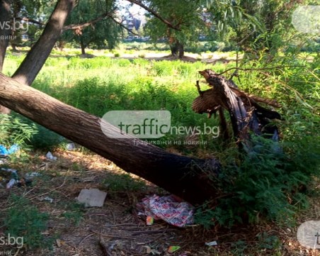 Боклуци заринаха коритото на Марица, стара пералня - сред 
