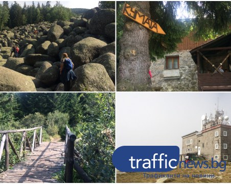 На разходка на Витоша: От Златните мостове към първенеца на планината