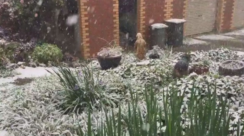 Аномалия: Сняг изненада Австралия