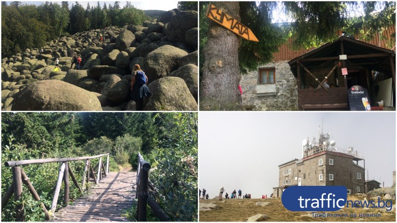 На разходка на Витоша: От Златните мостове към първенеца на планината