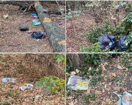 Пълни чували и разпилени боклуци покриха алеите на Лаута