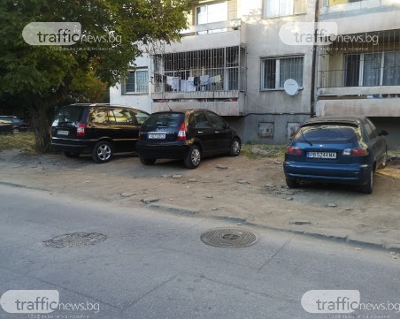 Пловдивчанка: Поради това ли зелените площи в града намаляват?