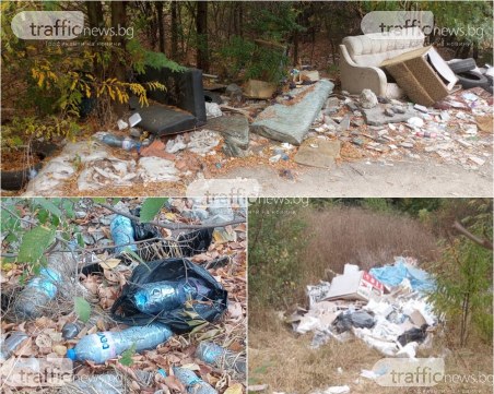 Бунище и развъдник на бактерии на метри от болница в Пловдив, ще има ли санкционирани?