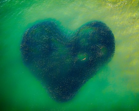 Спиращи дъха снимки! Вижте победителите в международния дрон конкурс за 2020