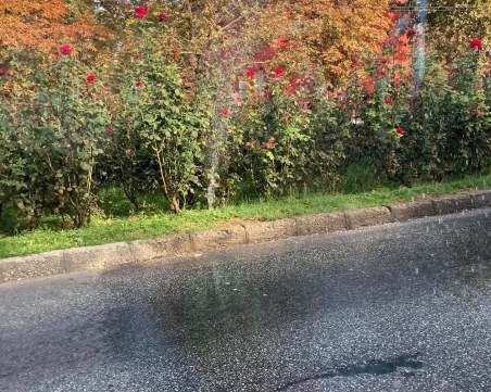 Вода шурти като фонтан на възлов пловдивски булевард