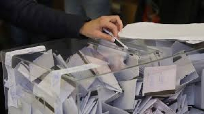Литовците гласуват на парламентарни избори, носят си химикалки