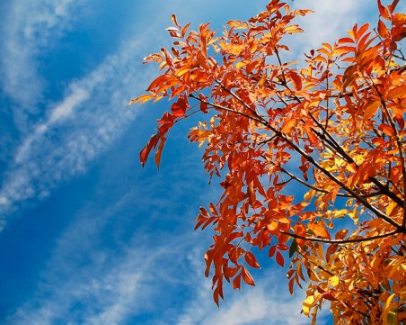 Слънцето се завръща – вятърът утихва