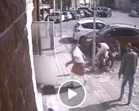 Кървава свада в Пловдив: Питбул се хвърли на коте, мъж се бори за живота му