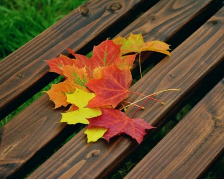 Температурите продължават да падат