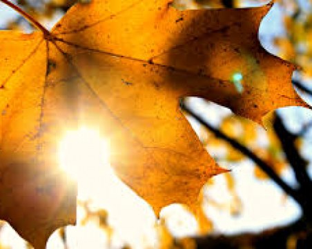 Температурите падат, но слънцето ще грее цял ден