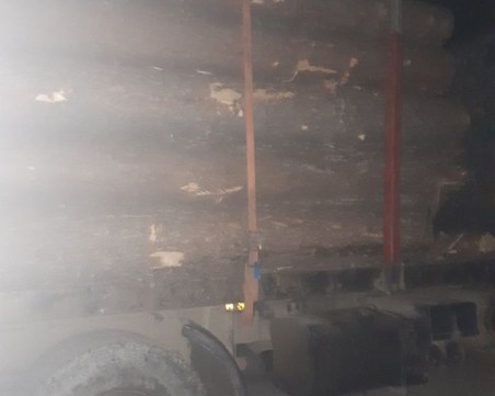 Екшън в Родопите! Горски гонят камион с изсечени дървета, хванаха го в цех за дървесина