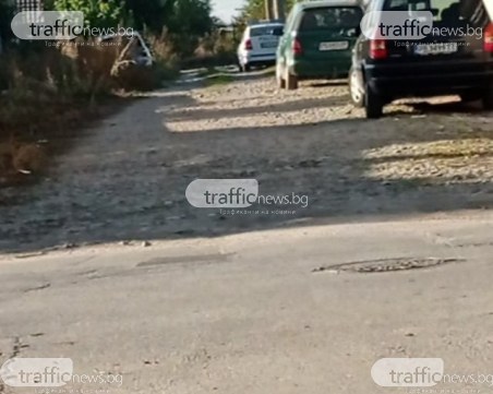 Полиция разкри голяма оранжерия с трева край Пловдив, Митко Кълбото е задържан