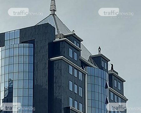 С риск за живота в търсене на адреналин: На ръба на покрив на хотел в Пловдив