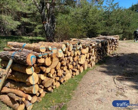 Масирани проверки за незаконна сеч