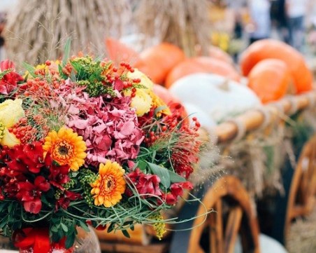 Няколко имена празнуват имен ден днес