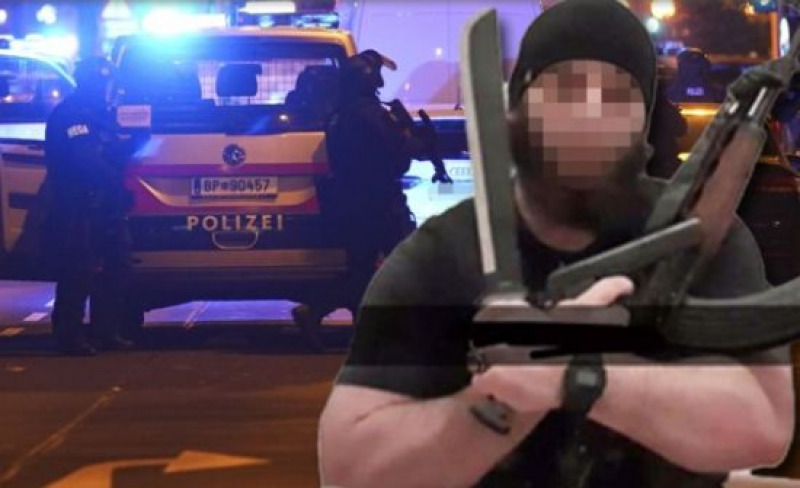 Публикувано е видео от ареста на терористите във Виена