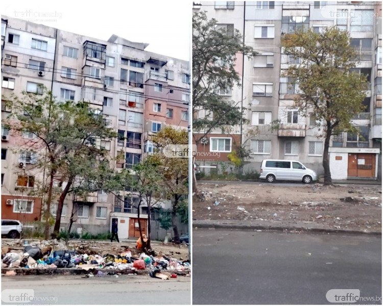 Развъдник на зараза в Пловдив: Улица изскочи под бунище!