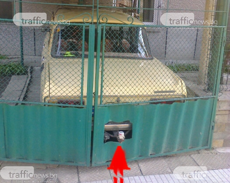 Гениална рационализация! Пловдивчанин проби портата си заради… теглича на москвича