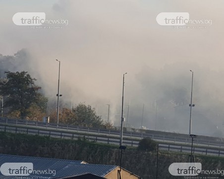 Половината Кършияка – обгазен, роми отново запалиха незаконно сметище