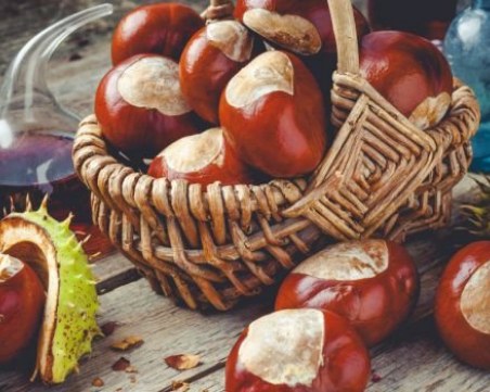 Защо е хубаво да носим кестени в джобовете си?