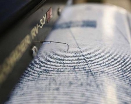 Лек трус е регистриран край костенското село Пчелин