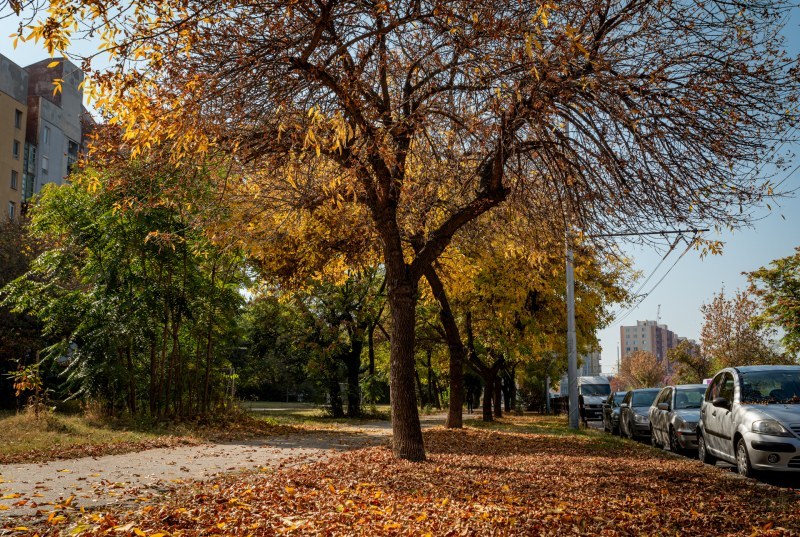 Температурите падат, но слънцето ще се прокрадва