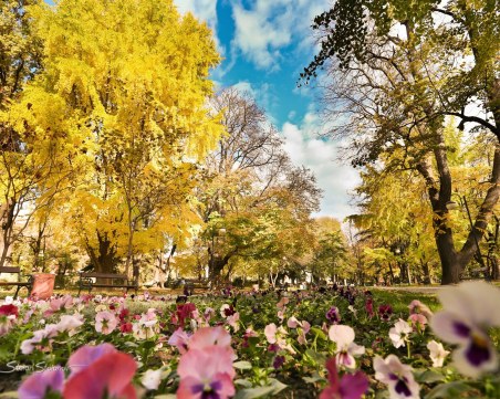 Къде да отидем във вторник в Пловдив?