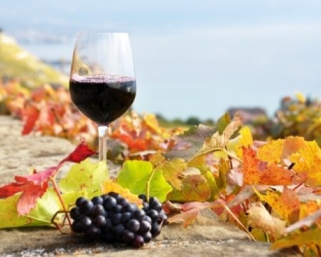 Ноември ще бъде вино - започва фестивалът на напитката на Боговете