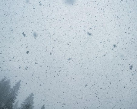 Пампорово побеля, паднаха първите снежинки за сезона