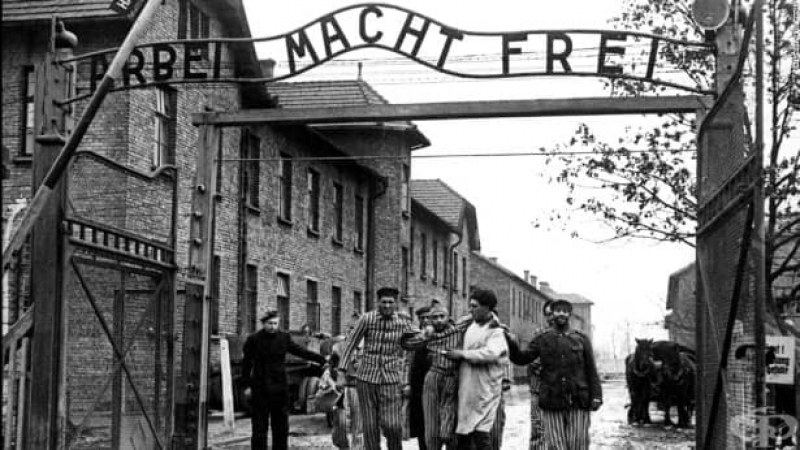 На този ден: Химлер нарежда депортирането в лагери на роми и хомосексуалисти