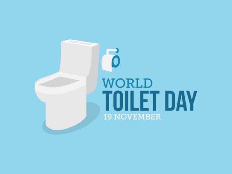 На този ден: Днес е световният ден на тоалетната и международният ден на мъжа