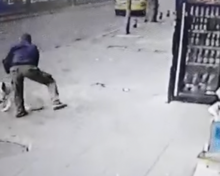 Наръгаха куче в София