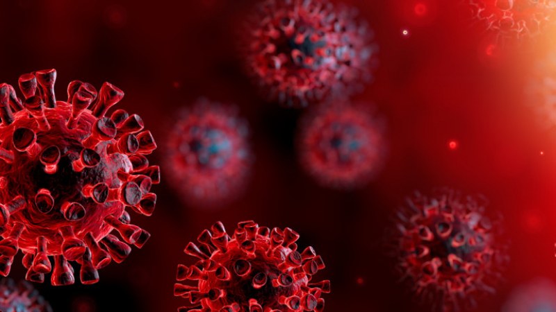 Проучване: 40% от българите смятат, че коронавируса е биологично оръжие