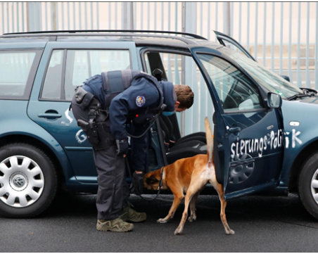 Кола се заби в офиса на германския канцлер Ангела Меркел