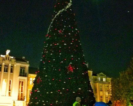 Коледният дух се настанява в Пловдив, вдигат 13-метровата елха